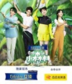 奇妙小森林            (2020)