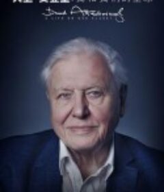 大卫·爱登堡：地球上的一段生命旅程 David Attenborough: A Life on Our Planet            (2020)