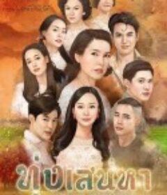 爱的领域 ทุ่งเสน่หา            (2020)