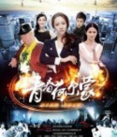 青春荷尔蒙            (2012)