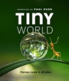 小小世界 第一季 Tiny World Season 1            (2020)
