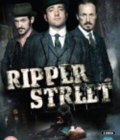 开膛街 第一季 Ripper Street Season 1            (2012)