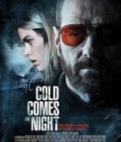 汽车旅馆疯劫案 Cold Comes the Night            (2013)