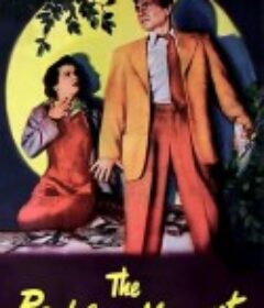 鲁莽时刻 The Reckless Moment            (1949)