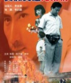 真假英雄兄弟情            (1998)