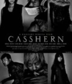 再造人卡辛 CASSHERN            (2004)