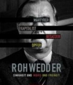 完美犯罪：狄列夫·罗威德遇刺案 第一季 A Perfect Crime Season 1            (2020)