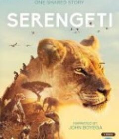 塞伦盖蒂 第一季 Serengeti Season 1            (2019)