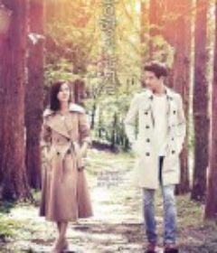 通往机场的路 공항가는 길            (2016)