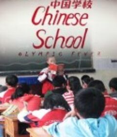 中国学校 Chinese School            (2008)