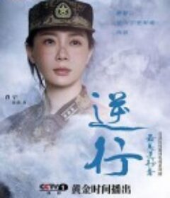 最美逆行者            (2020)