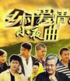 乡村爱情小夜曲            (2012)