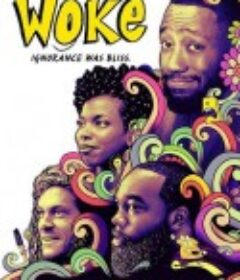 觉醒 Woke            (2020)