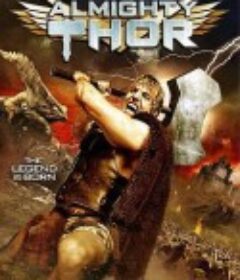 无敌索尔 Almighty Thor            (2011)