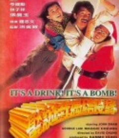 圣诞奇遇结良缘            (1985)