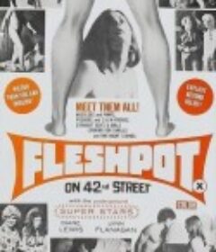肉欲的42街 Fleshpot on 42nd Street            (1973)