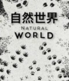 自然世界 第一季 Natural World Season 1            (2019)