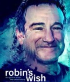 罗宾的愿望 Robin's Wish            (2020)