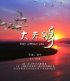 大天鹅            (2017)