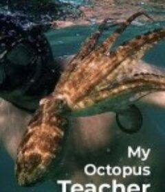 我的章鱼老师 My Octopus Teacher            (2020)