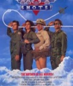 反斗神鹰 Hot Shots!            (1991)