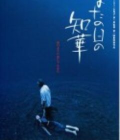 来日知华 またの日の知華            (2005)