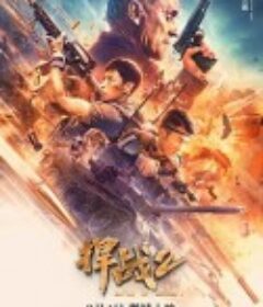 捍战2            (2020)