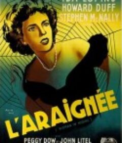 孤魂泪影 Woman in Hiding            (1950)