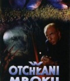 碑文的秘密 The Dark            (1993)