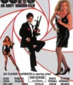 美女特工队 Guns            (1990)