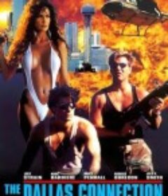 执法女先锋2 The Dallas Connection  限制级   (1994)