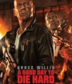 虎胆龙威5 A Good Day to Die Hard            (2013)