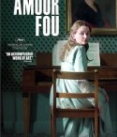 疯狂的爱 Amour fou            (2014)