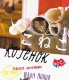 小猫虎子 Котёнок            (1997)