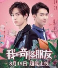 我的奇怪朋友            (2020)