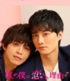 他爱上我的理由 彼が僕に恋した理由(ワケ)            (2020)