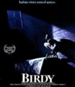 鸟人 Birdy            (1984)