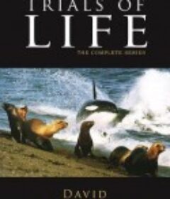 生命之源 The Trials of Life            (1990)