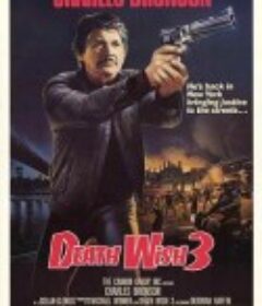 猛龙怪客3 Death Wish III            (1985)