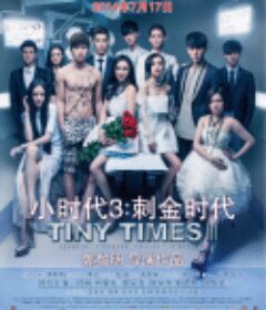 小时代3：刺金时代            (2014)