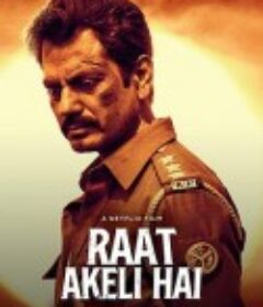 孤夜寻凶 Raat Akeli Hai            (2020)