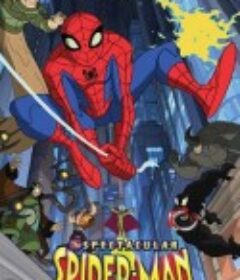 神奇蜘蛛侠 第二季 The Spectacular Spider-Man Season 2            (2009)