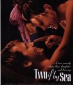 偷心计划 Two if by Sea            (1996)