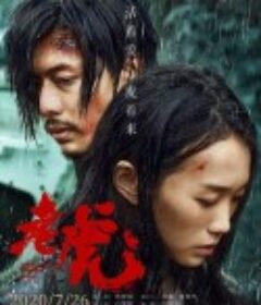 老虎            (2020)