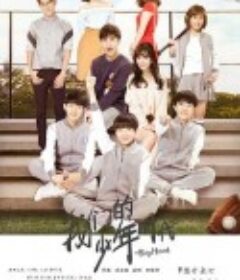 我们的少年时代            (2017)