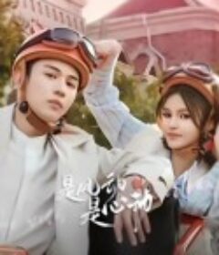 是风动、是心动            (2025)