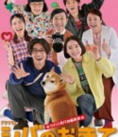 柴犬的规矩～我们这群狗痴编辑部～ シバのおきて ～われら犬バカ編集部～            (2025)