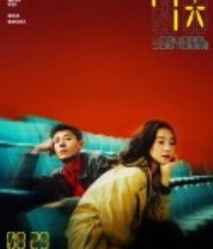 7天            (2025)