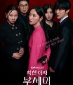 善良的女人夫世美！ 착한여자 부세미！            (2025)