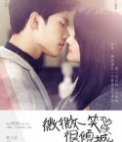 微微一笑很倾城            (2016)